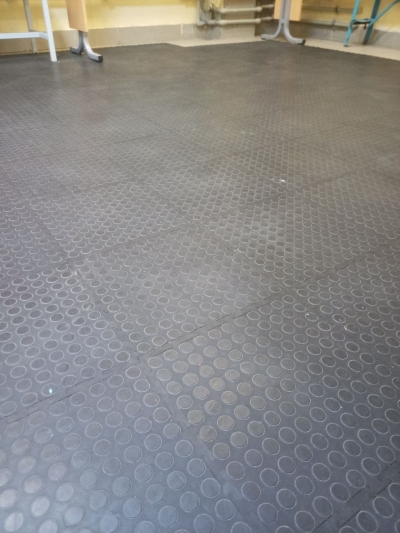 Частный двор, с. Киясово, Ступинский р-он, МО