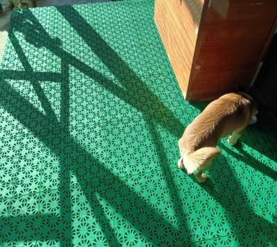 Частный двор, г. Волгоград